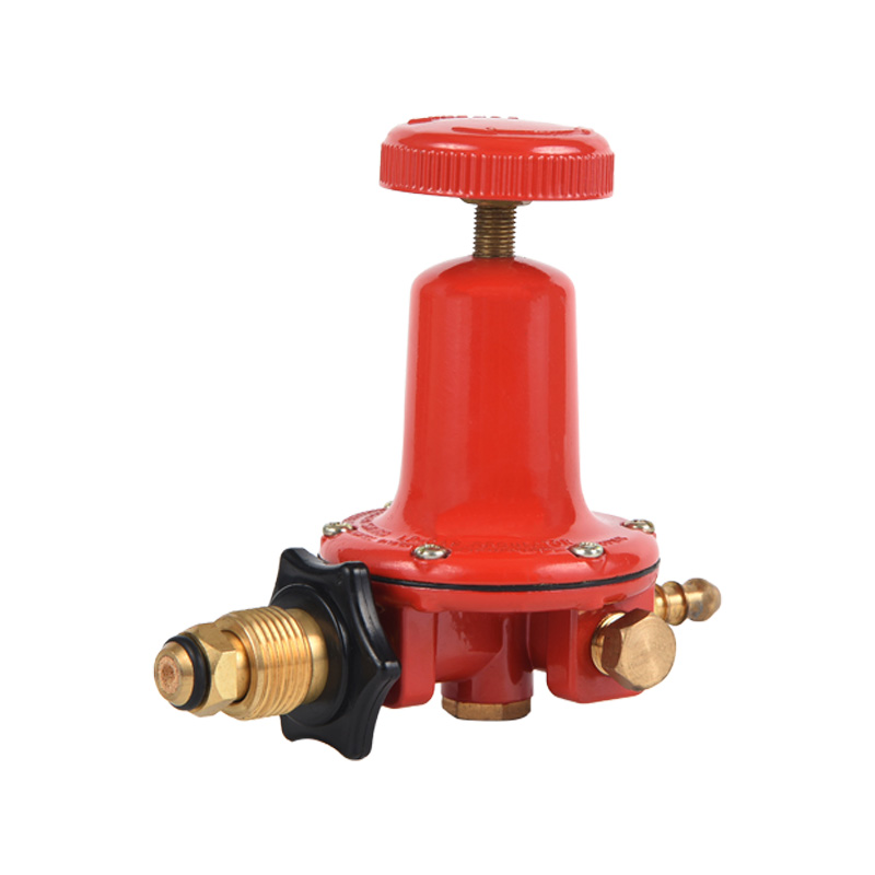 Regulator de propan Regulator de corp din alamă GPL Diverse modele standard pentru personalizare