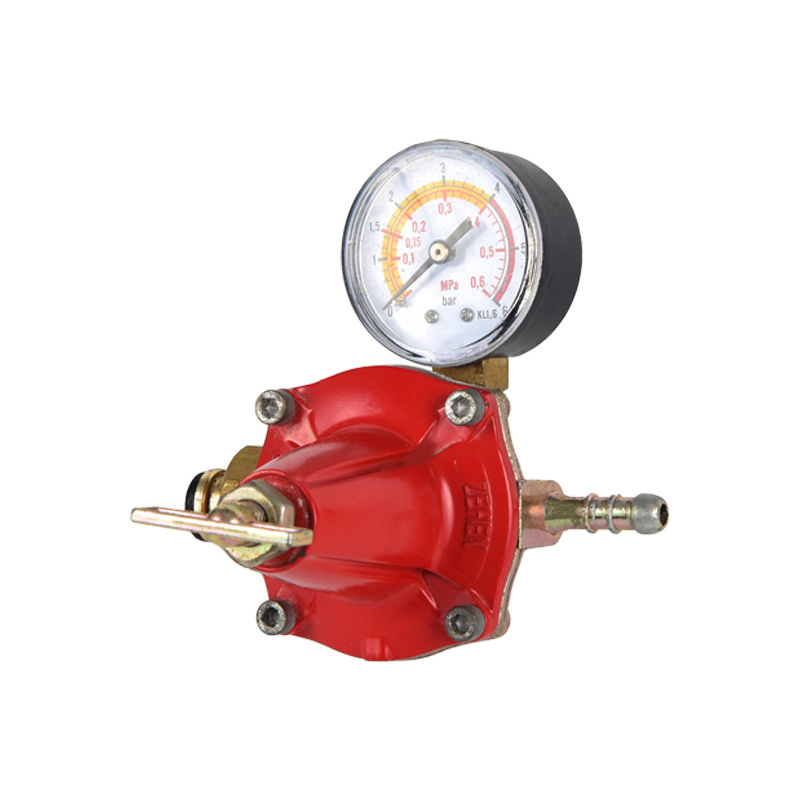 Regulator de propan cu corp din zinc Diverse modele standard pentru racordarea la admisie