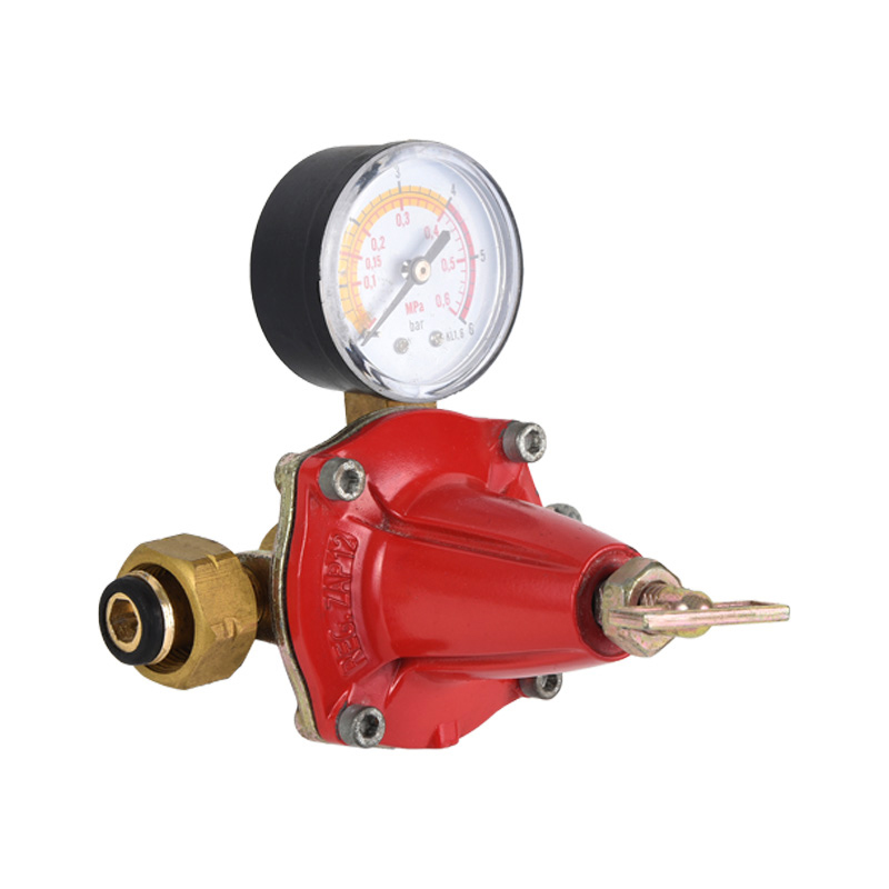 Regulator de propan cu corp din zinc Diverse modele standard pentru racordarea la admisie