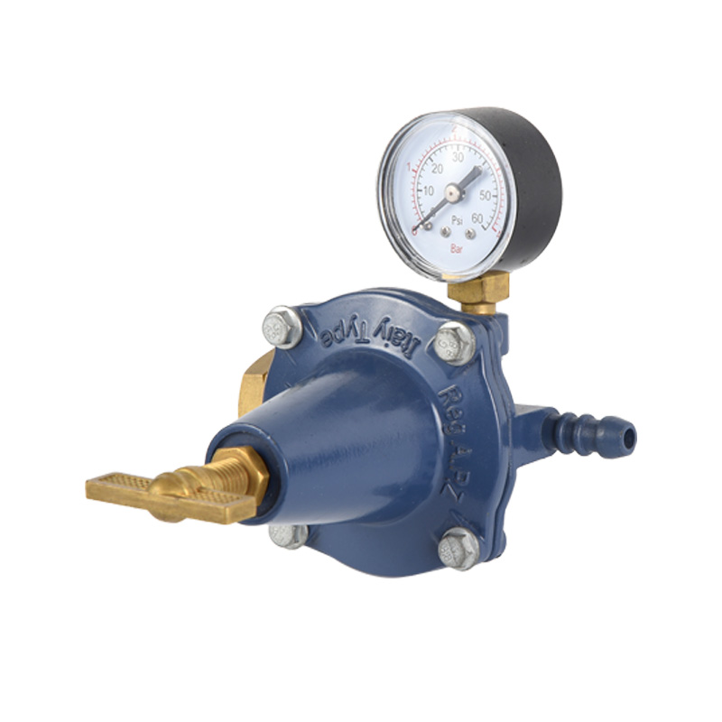 Regulator de propan cu corp din zinc Diverse modele standard pentru racordarea la admisie